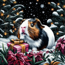 Christmas Guinea Pig with Gift