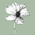 Pink Prairie Designs
