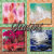Seasons_by_LGA