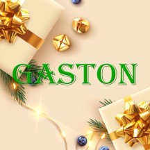 Gaston Name T-Shirt