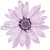 LilaBoutique7