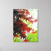 Wrapped Canvas Prints
