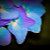 CreativePA