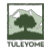 Tuleyome