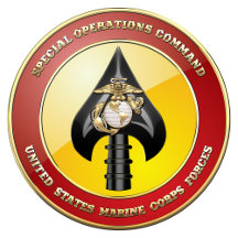 USMC MARSOC 3D Art 