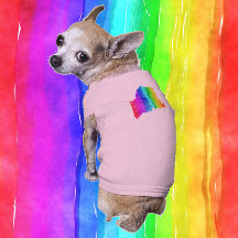 Mainebow