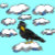 Ask a Crow Design Center