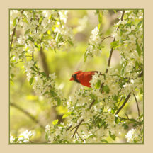 Easter and Spring