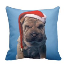 Pillows for all seasons