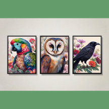 Birds