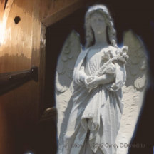Calling All Angels