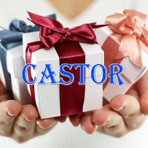 Castor_Name T-Shirt
