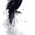 Loro Negro