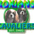 Roxians Cavalier Club