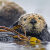 Wildlife Hotspots