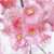 Fine_Art_by_Kimberly