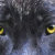 TheWolfDen