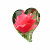 HeartHelp