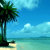 Hawaiian Paradise