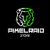 PixelRaid