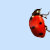 zazzle.com/partygames