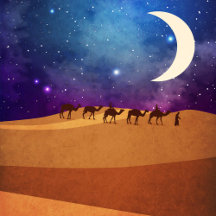 Desert 1