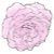 Paisley Rose Inspiration and Design