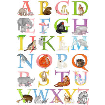 Animal ABC - complete alphabet