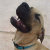 Pets_and_More
