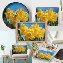 Golden Daffodils