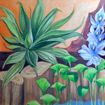 Plants Pond Party