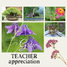 Teacher and Educator Thank You Cards 