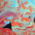 World Of Colors