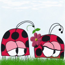 Adorable Ladybug Wooing His New Love Collection