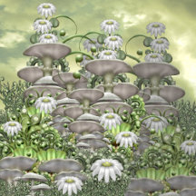 Mushroom Club
