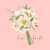 Love Knots Wedding Collections