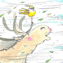 Wind