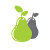 DorchesterPear