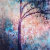 A_Forest_Within