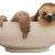 Sloths And More
