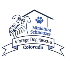 VDR Rescue Logo