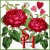 Flora's Vintage Collection