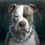 Pet__Lovers