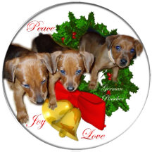 German Pinscher Christmas Gifts