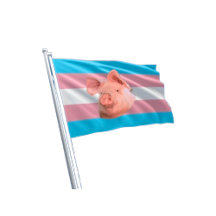 Pride Collection 
