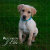 Puzzles_by_JElle