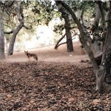 AllisonRosePhotos™