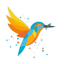 Illustrated water bottles