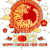 bp46qq29