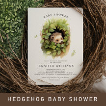 Hedgehog Baby Shower